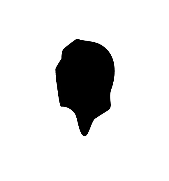 Bison outline