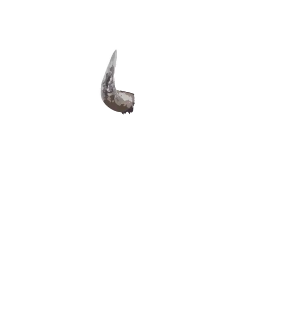 Left horn