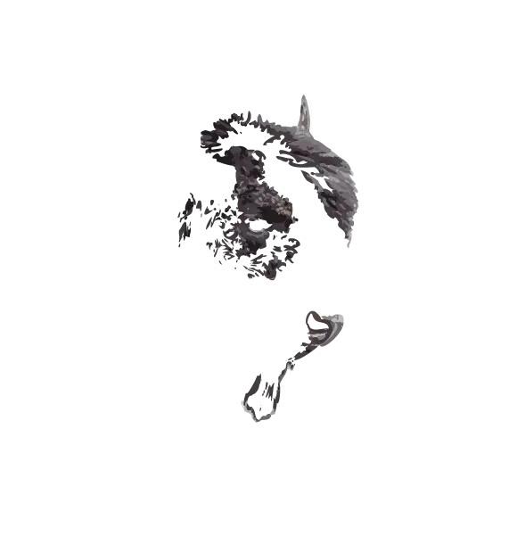 Bison hair 02 and 01