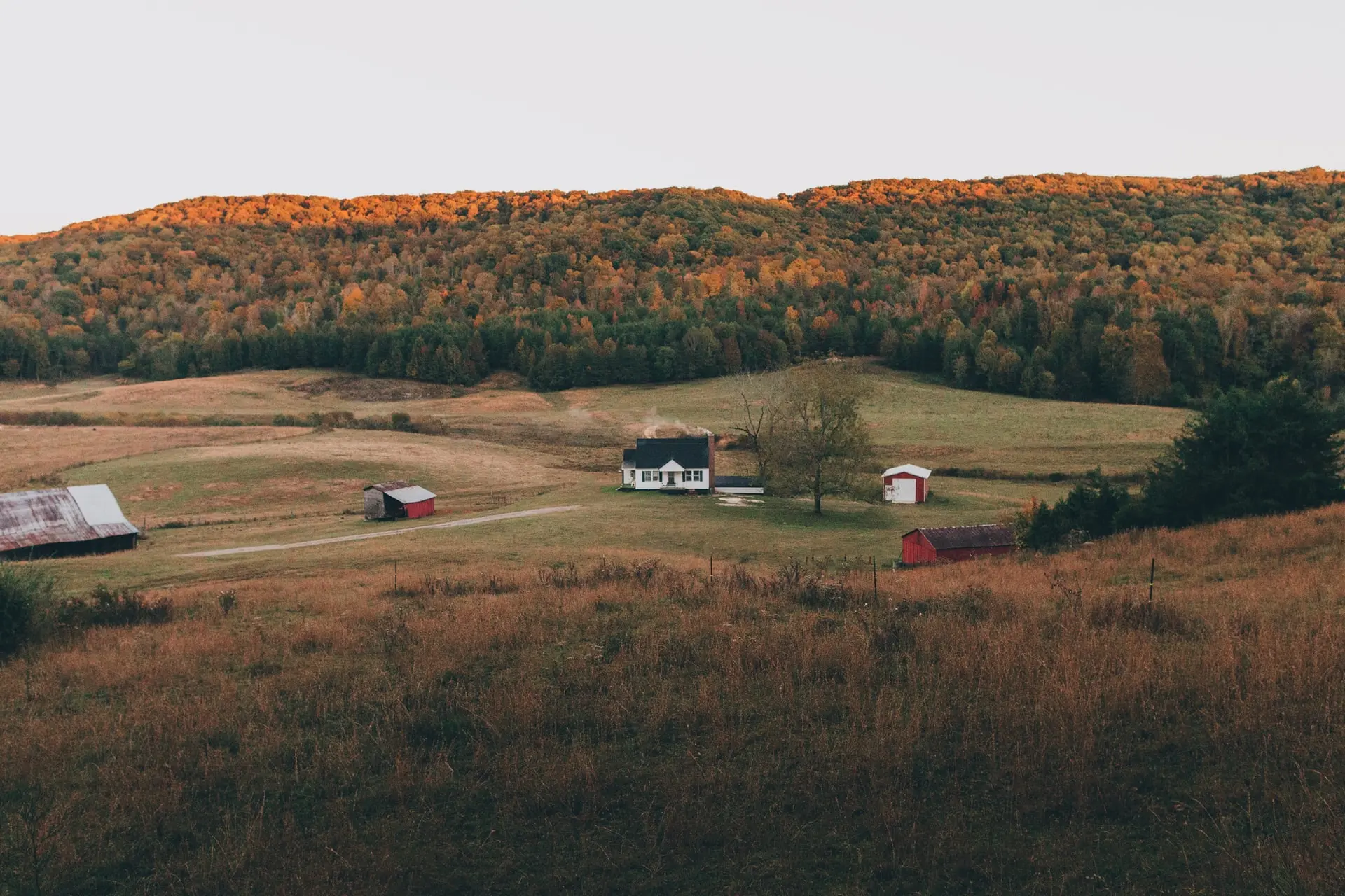 Homes in a field in TN
